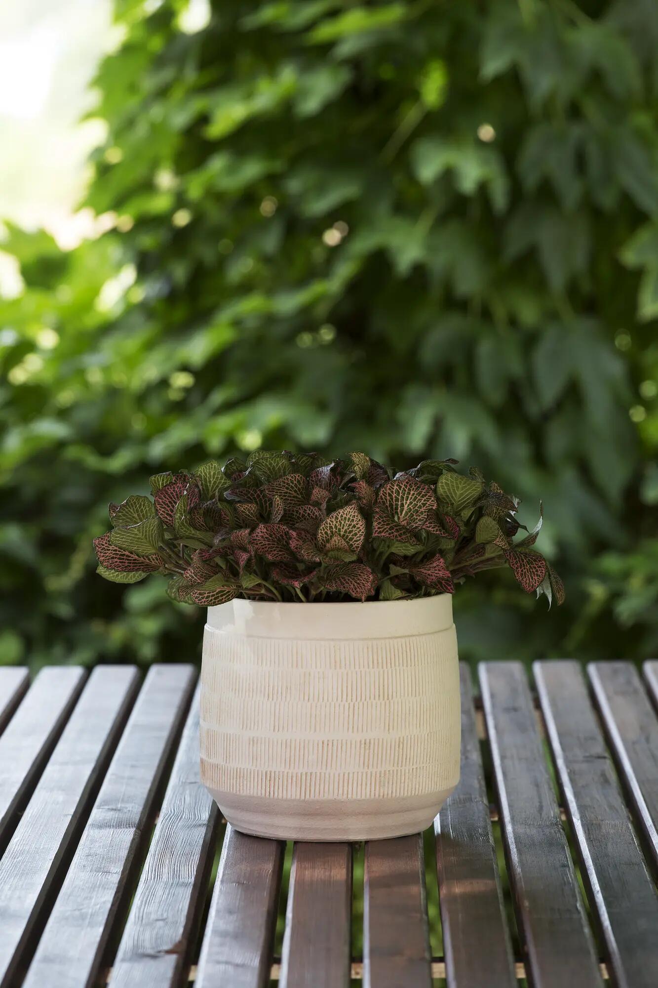 Coprivaso Caspo' in ceramica bianco H 14 x ø 16 cm - 2