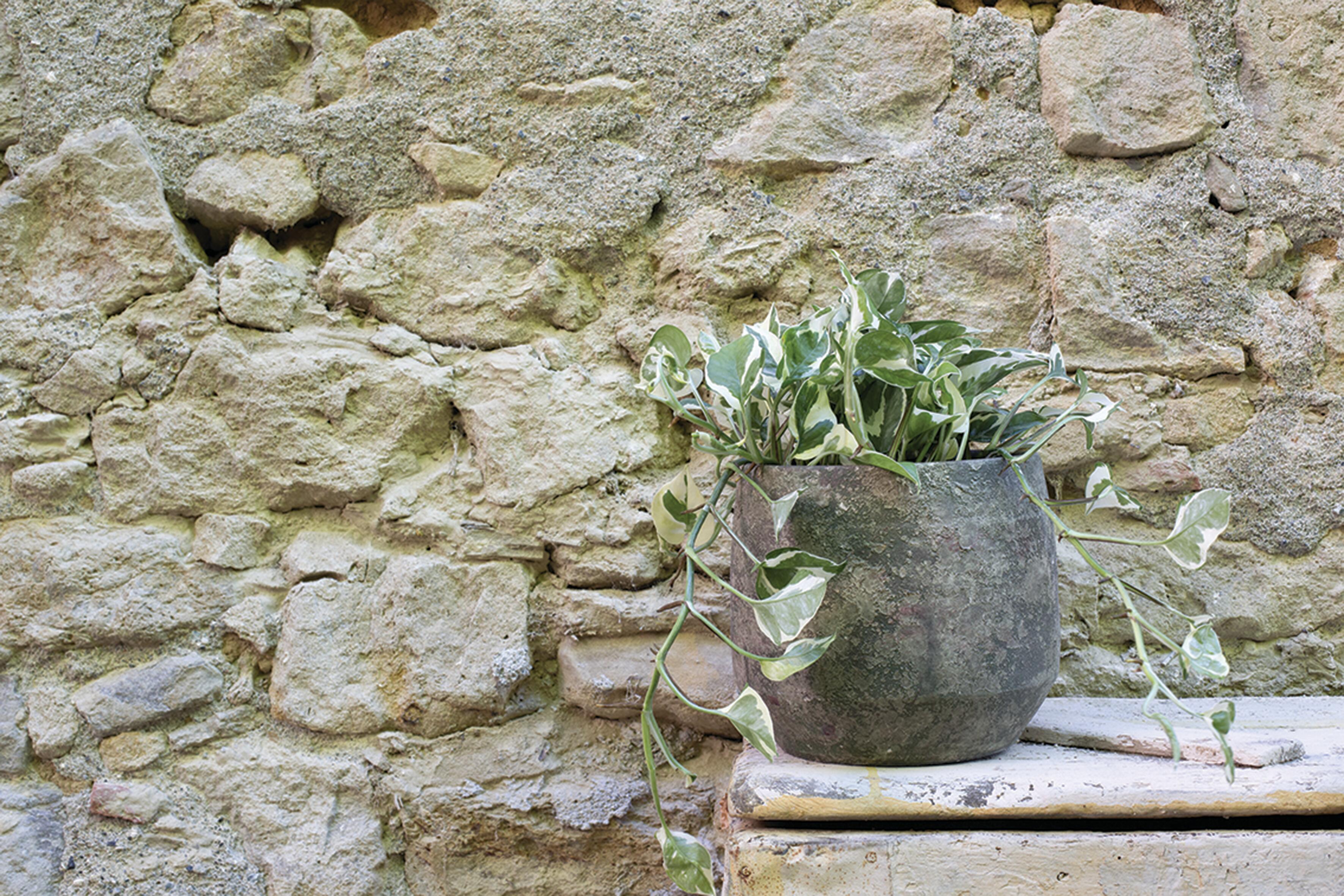 Coprivaso per piante e fiori PARIGI in ceramica marrone H 20 cm Ø 21 cm - 2