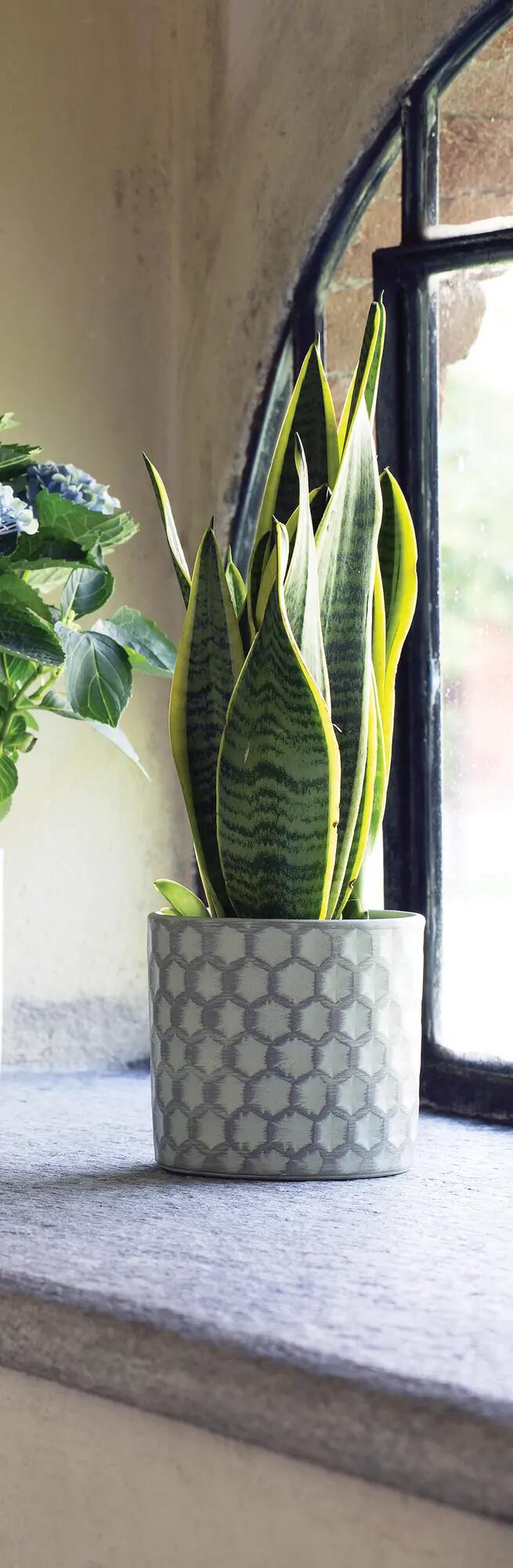 Coprivaso Caspo' in ceramica verde H 13 x ø 14 cm - 2