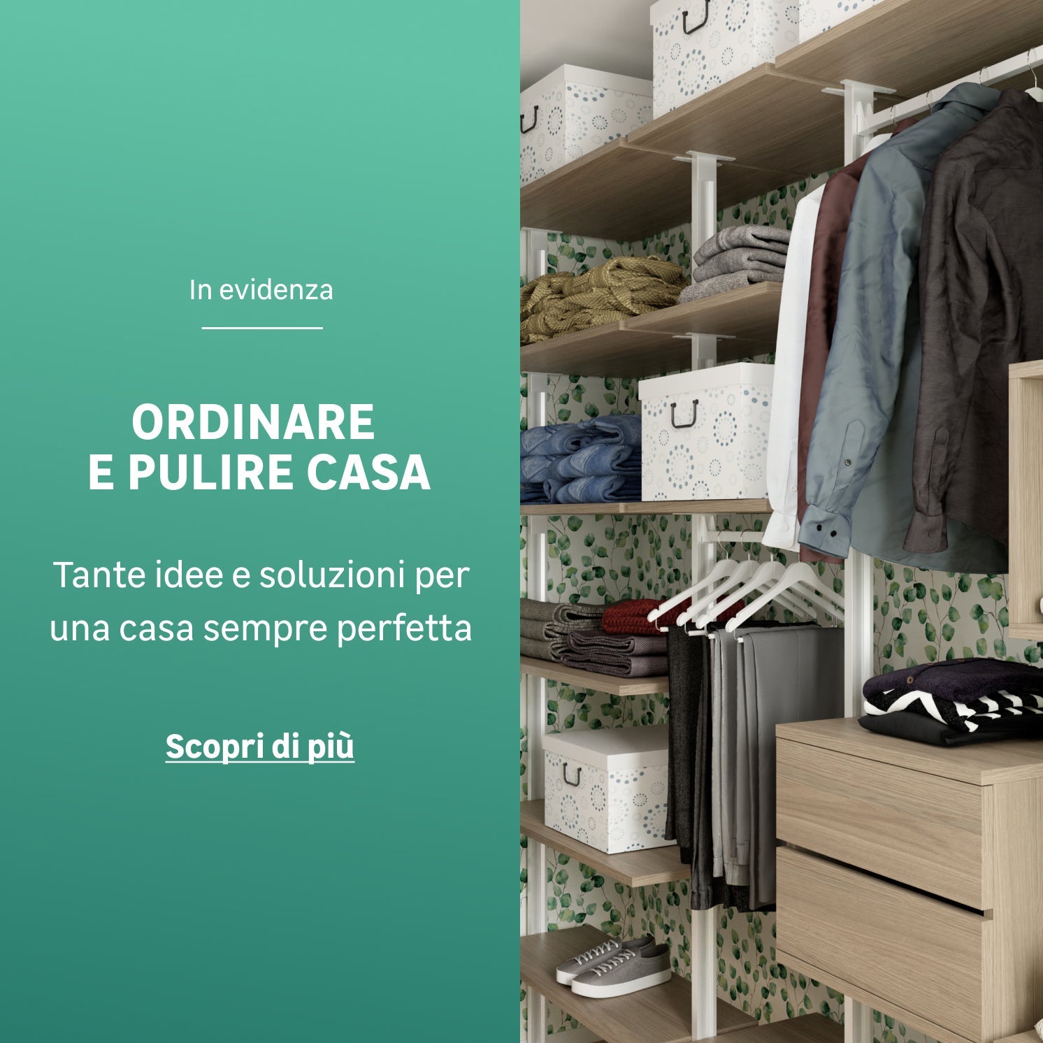 Pulizie Casa Cambio di Stagione: Consigli, Come organizzare, Accessori,  Prodotti Utili