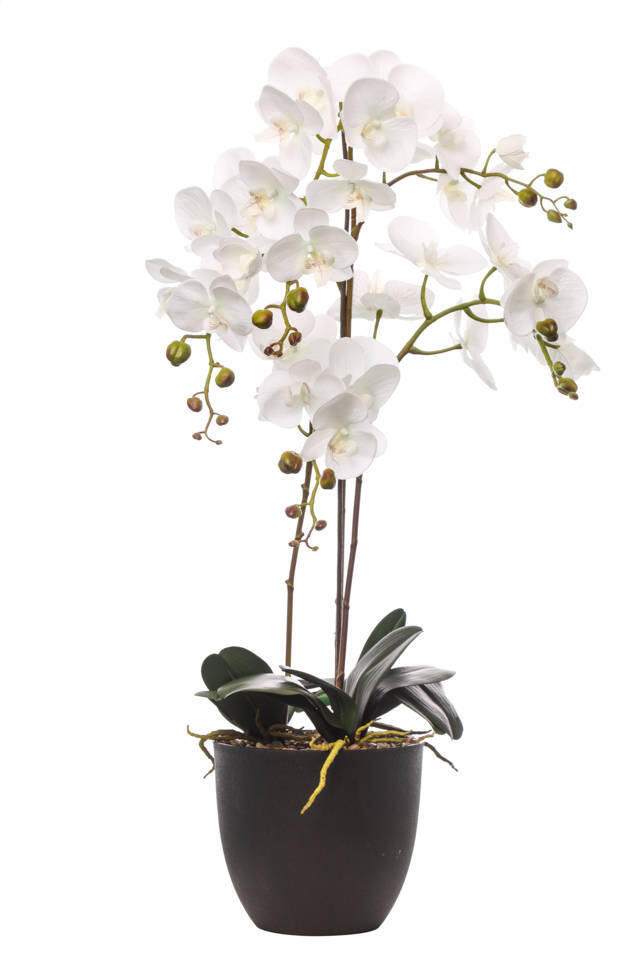 SEEKO Succulents Piante artificiali (confezione da 14), piante grasse finte realistiche senza vaso, decorazione per fai da te