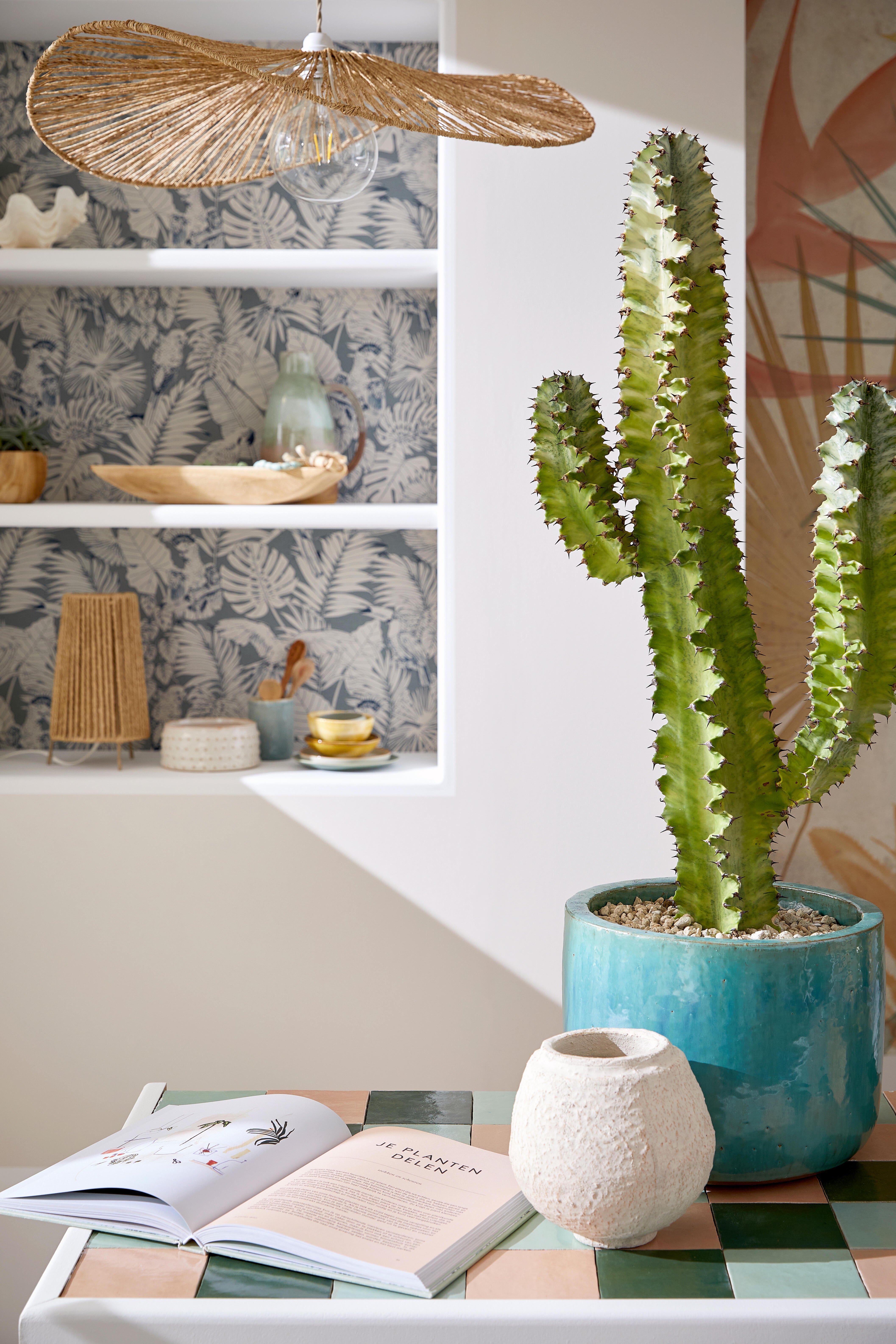 Peinture mur, boiserie blanc velours ENVIE Biosourcée 2L - 4
