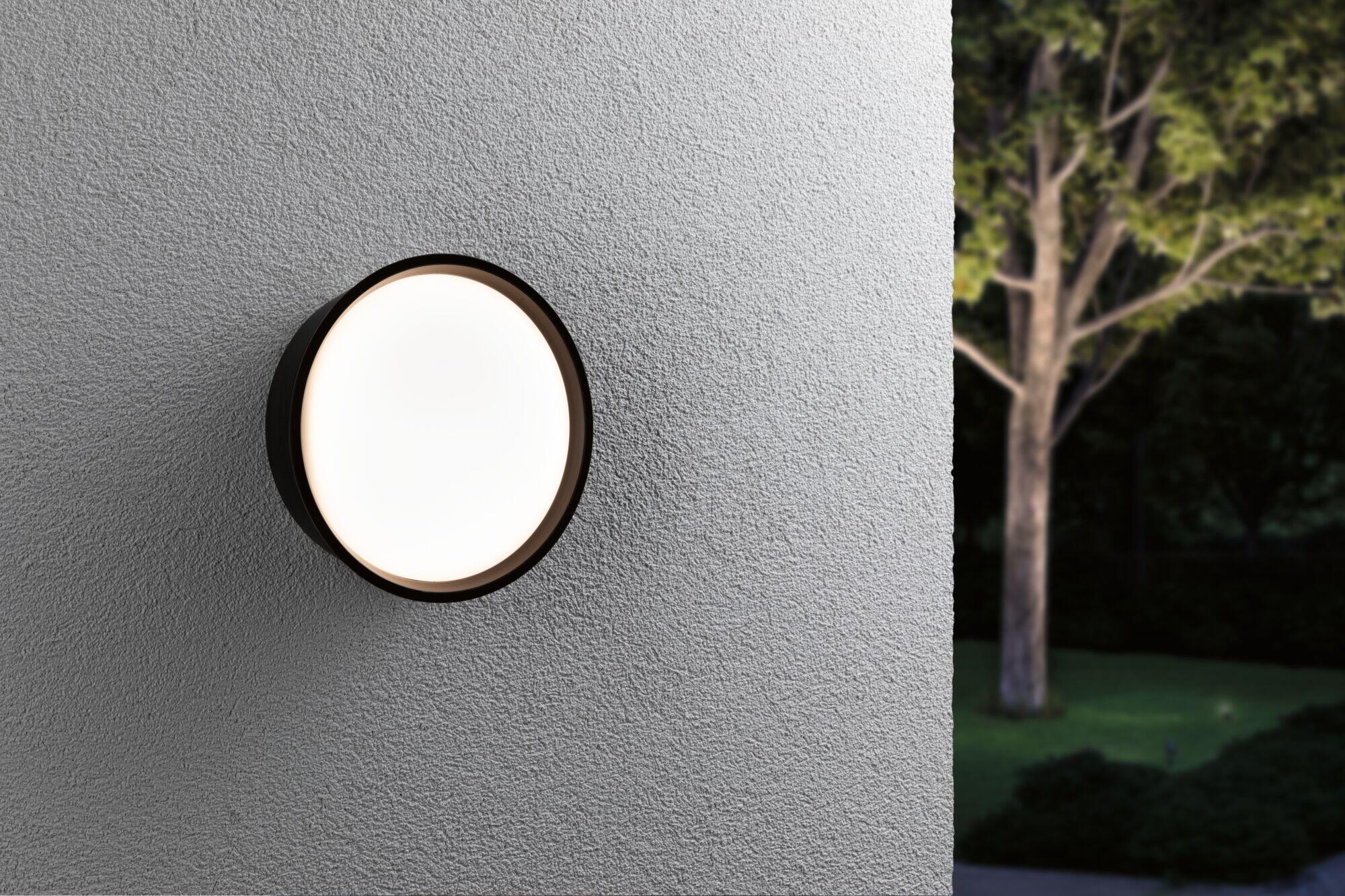 Applique extérieure LED, 2000 lumens noir Platomo PAULMANN - 2