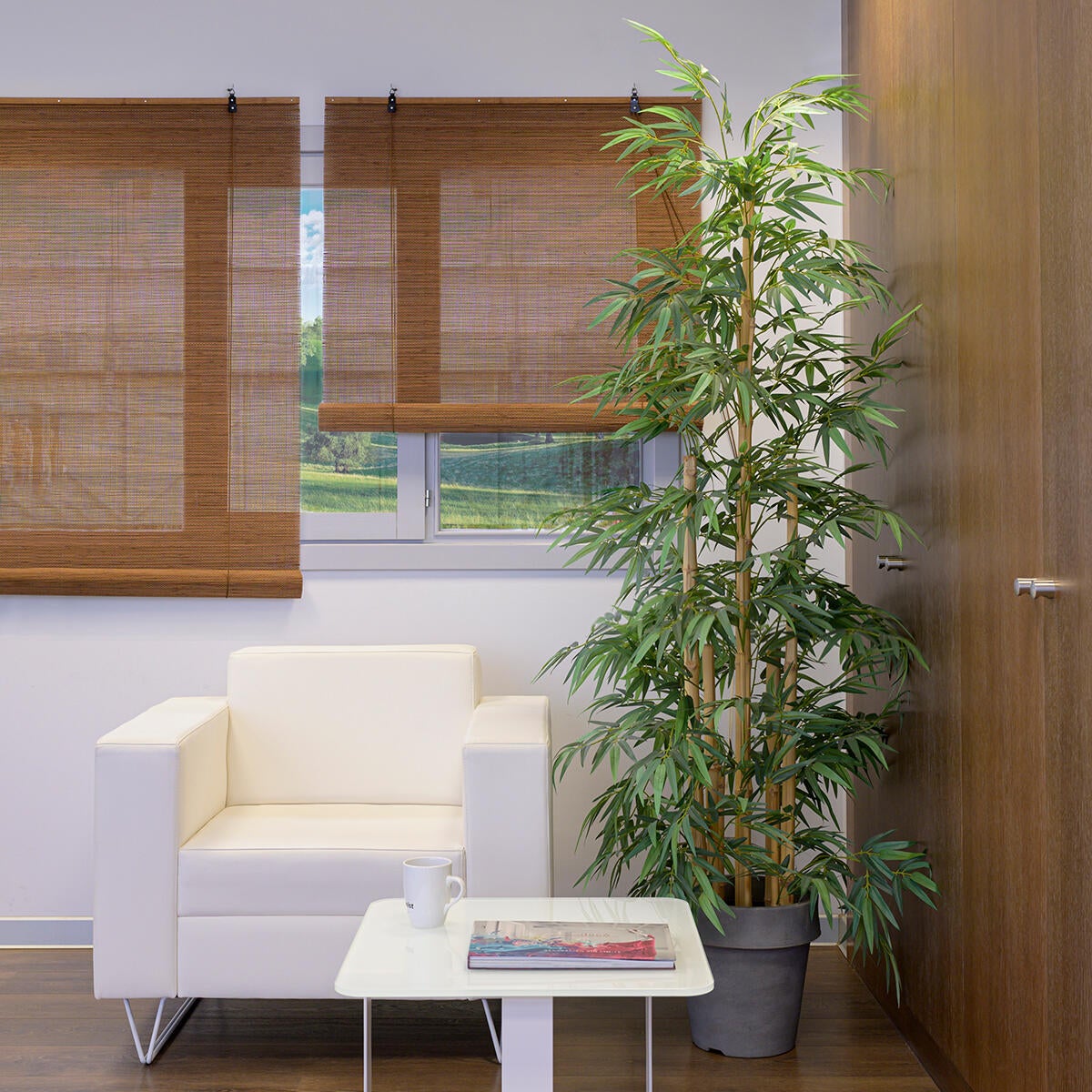 Estor enrollable translúcido  con cordón Bambú Nogal bambú liso nogal  de 100x250cm - 5