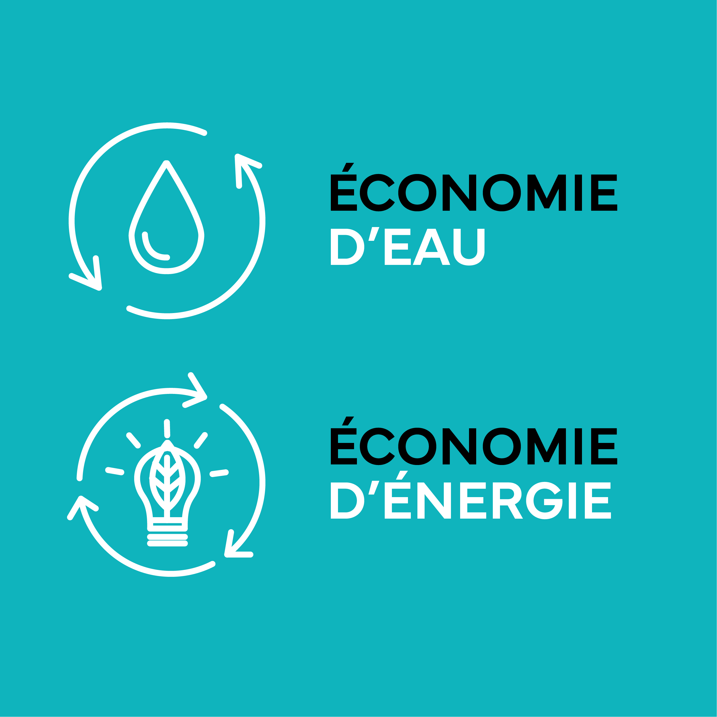 Pommeau de douche 3 jets, EDOUARD ROUSSEAU Ekogest Leroy Merlin