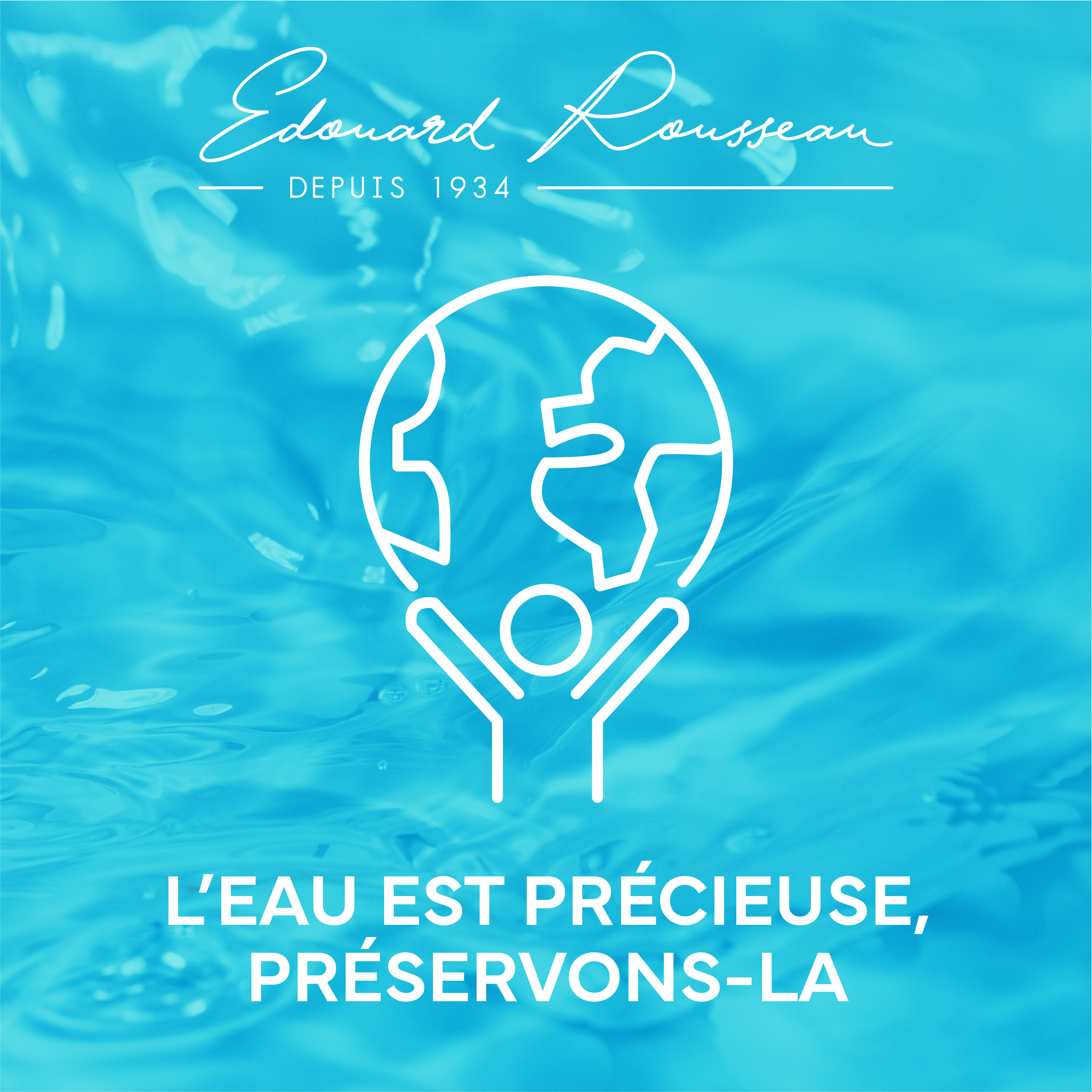 Pommeau de douche 3 jets, EDOUARD ROUSSEAU Ekogest Leroy Merlin