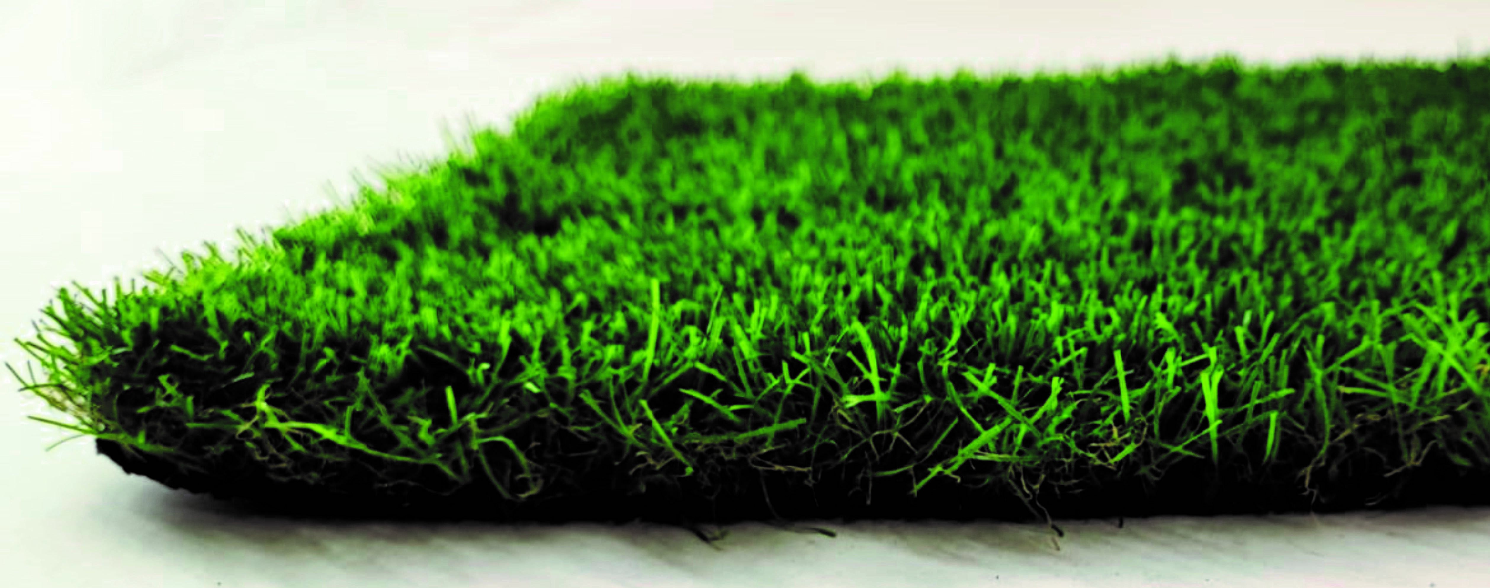 Rollo de césped artificial Laredo 1x5m 33 mm de altura de fibras y 27300 puntadas m² - 9