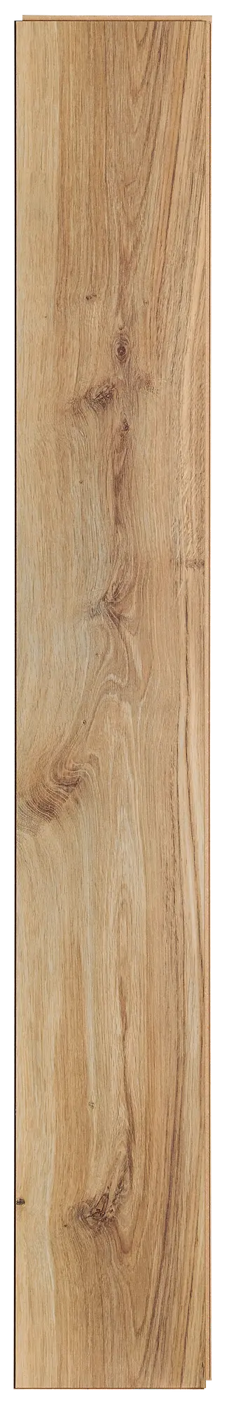 Panele podłogowe laminowane AC4 8 mm Swiss Krono Dąb Picard naturalne drewno - 7