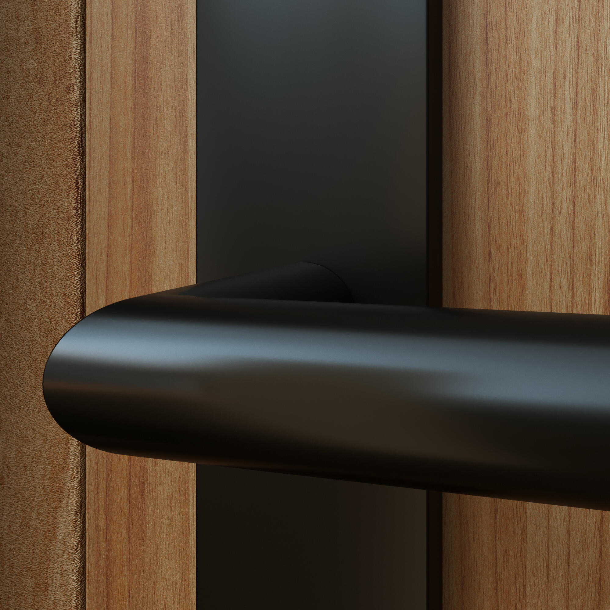 2 poignées sur plaque à clé Sara acier noir mat, entraxe 195 mm - 6