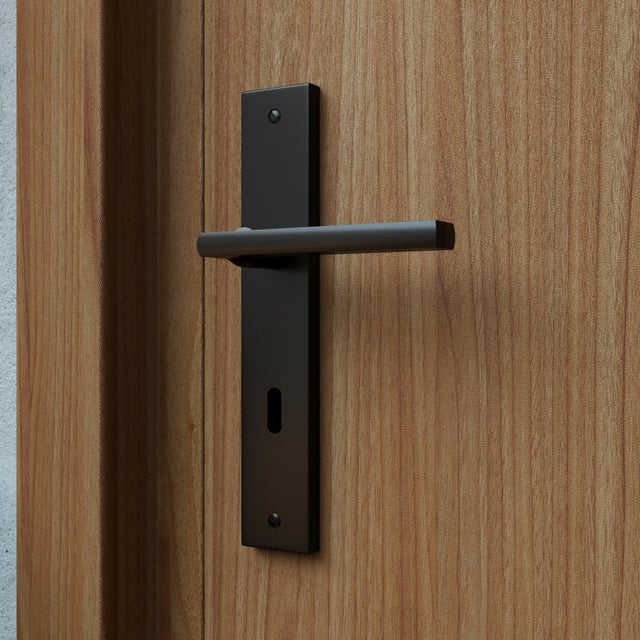 Poignée de porte sur plaque noire entraxe 195 mm Clé en L DAREN x2