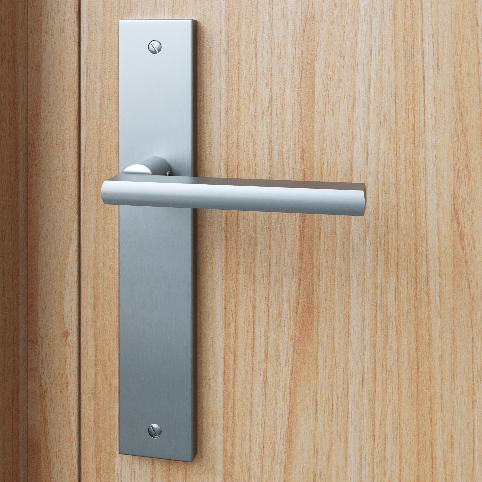 Poignée de porte sur plaque aspect nickel entraxe 195 mm bec de cane ...