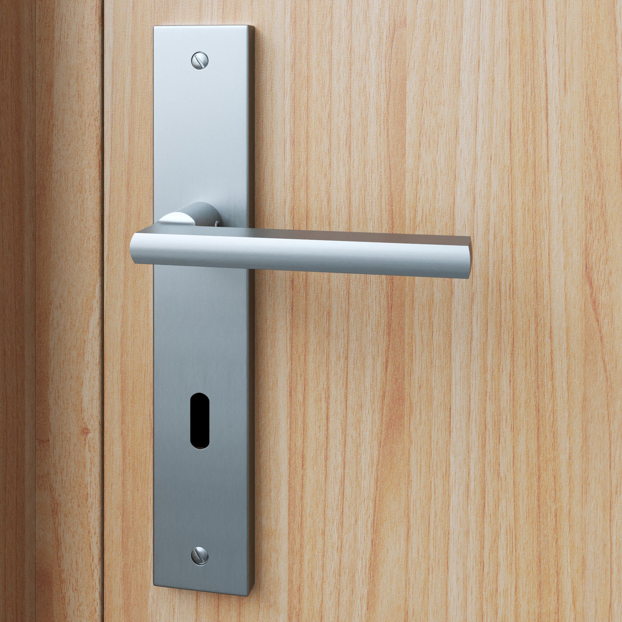 Poignée de porte sur plaque aspect nickel entraxe 195 mm Clé en L DAREN ...