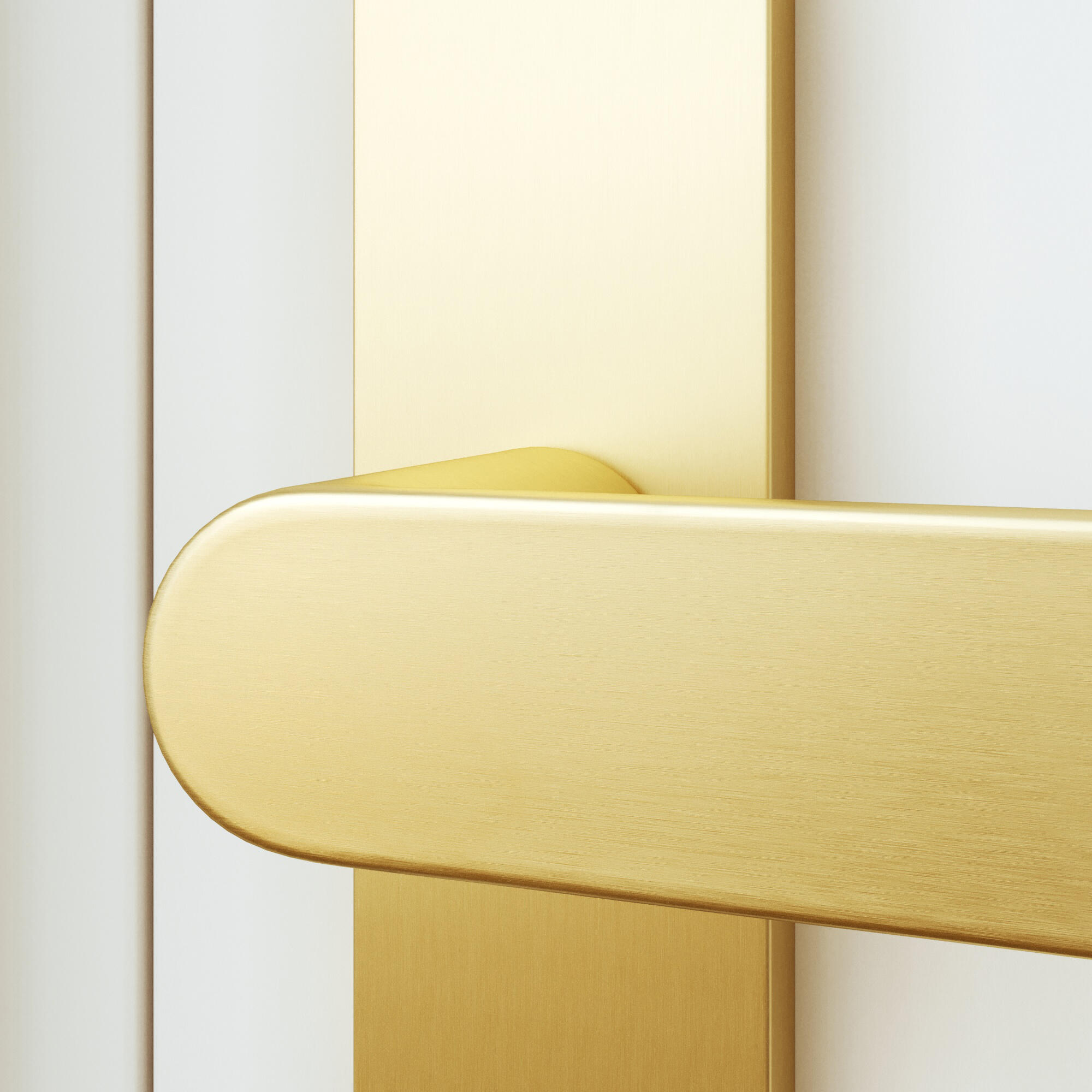 2 poignées sur plaque à clé Java aluminium laiton mat, entraxe 195 mm - 4