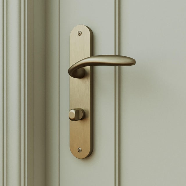 2 poignées sur plaque à condamnation Agathe aluminium laiton mat, entraxe 195 mm