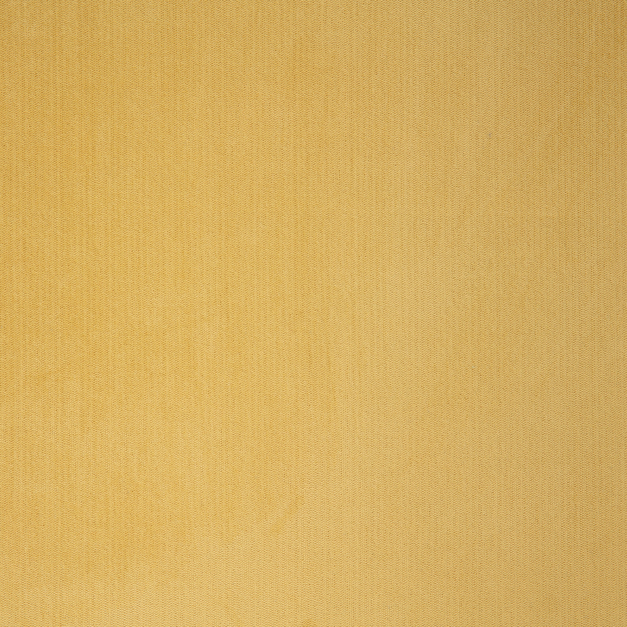 Tela al corte tapicería terciopelo terciopel amarillo ancho 140 cm