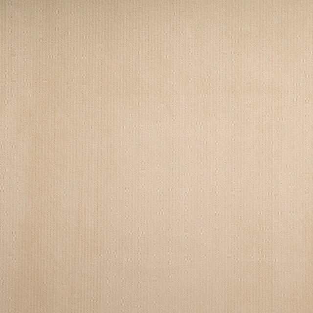 Tela al corte tapicería terciopelo Terciopel beige ancho 140 cm