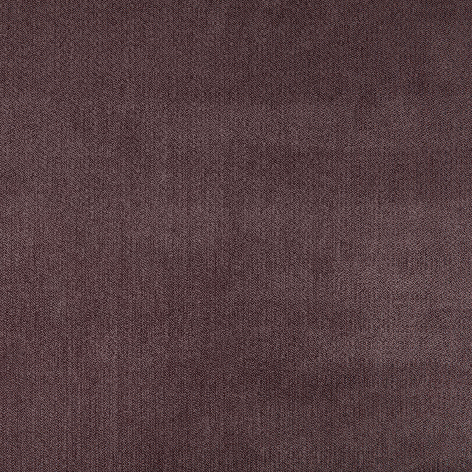 Tela al corte tapicería terciopelo terciopel violeta ancho 140 cm