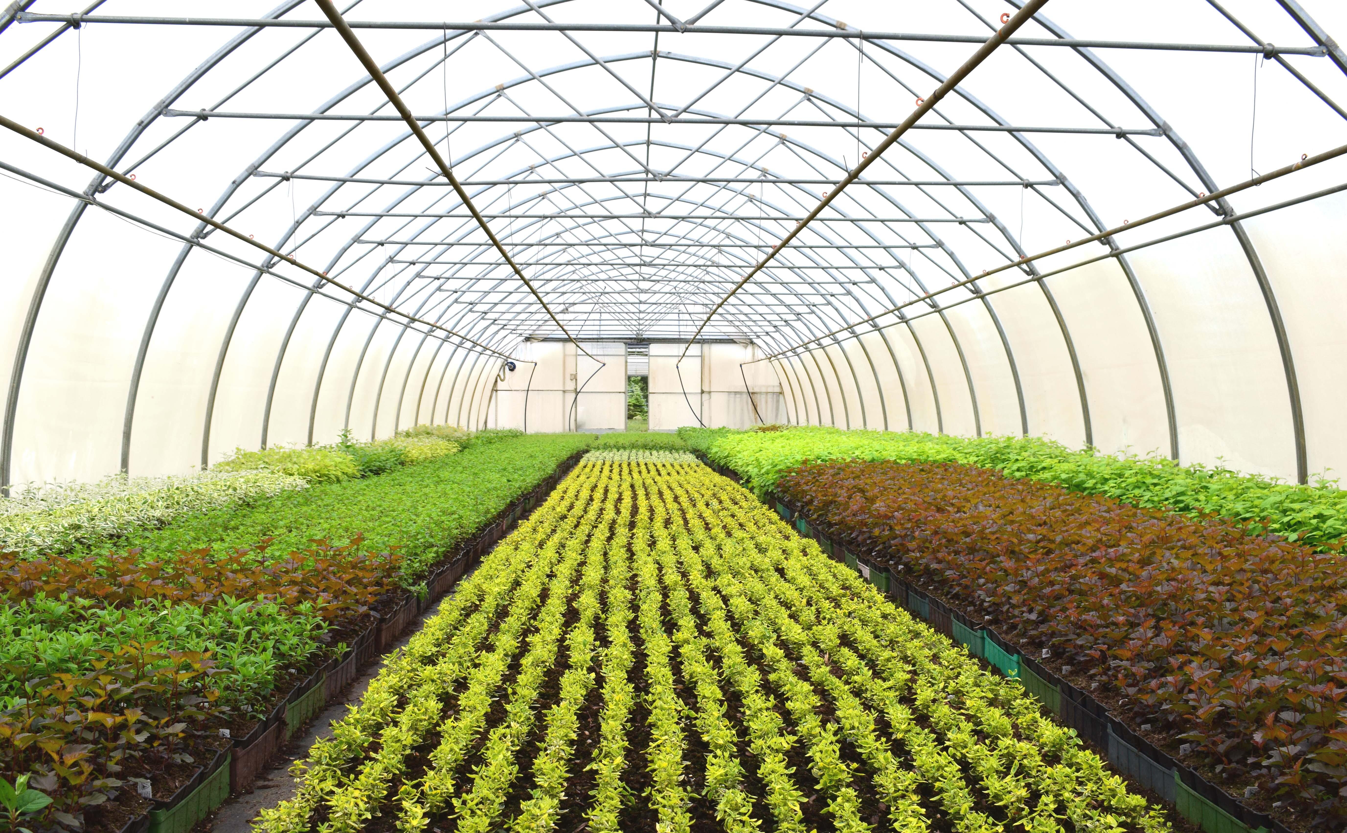 Plaque polycarbonate l.0,98 x L.4,02m, ep.16 mm, 2.45KG/M2 5 parois opaque - 4