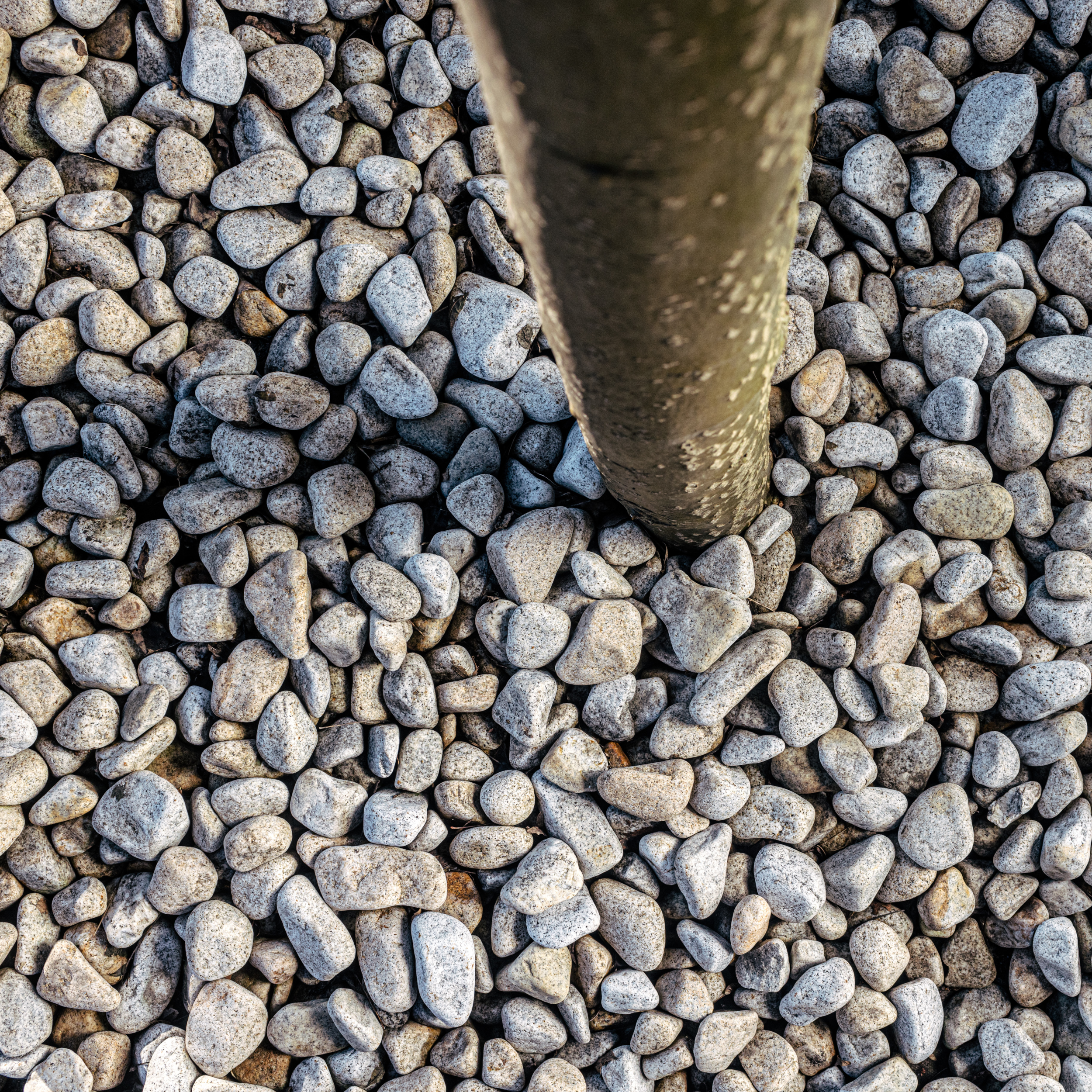 Otoczak 22-32mm 20kg granitowy Garden Stones - 2