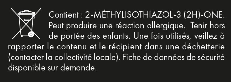 Peinture mur marron satin MAISON DECO Pochoir 0.01L - 6