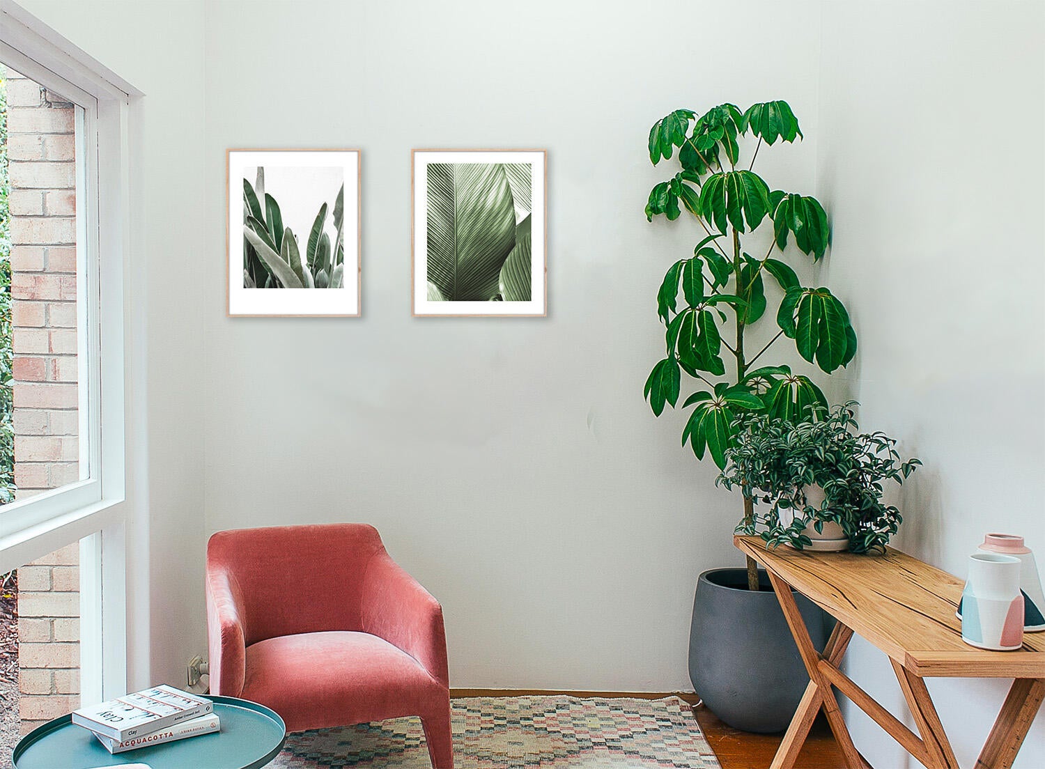 Stampa incorniciata Strelitzia nero 42 x 52 cm - 8