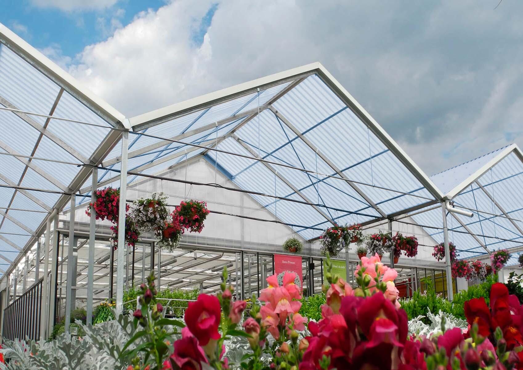 Plaque polycarbonate l.0,86 x L.2,5m, ep.0.8 mm, 1.05KG/M2, ALVEOLY - 2