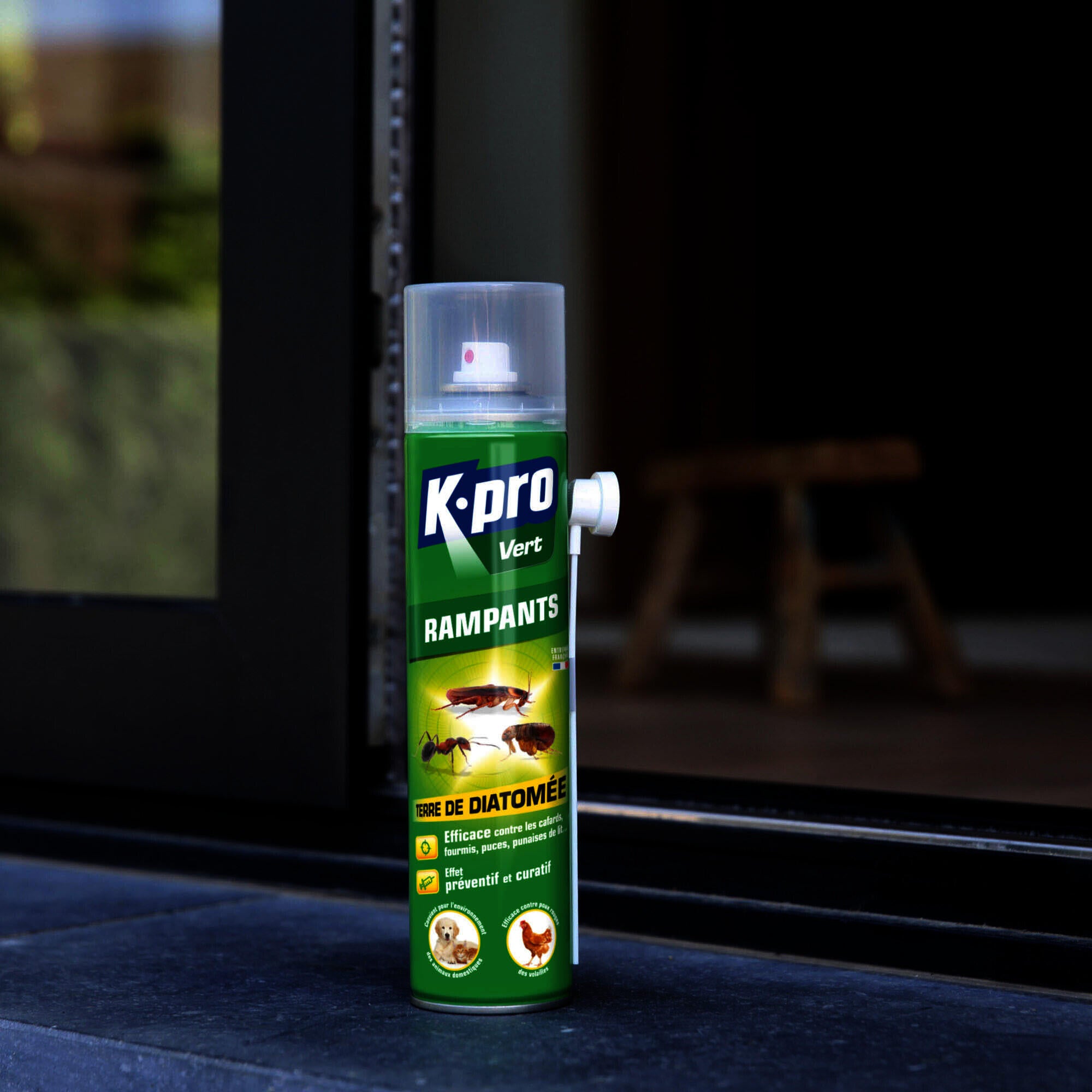 Insecticide aérosol insectes rampants, Terre de diatomée, vert K.PRO, 400ml - 2