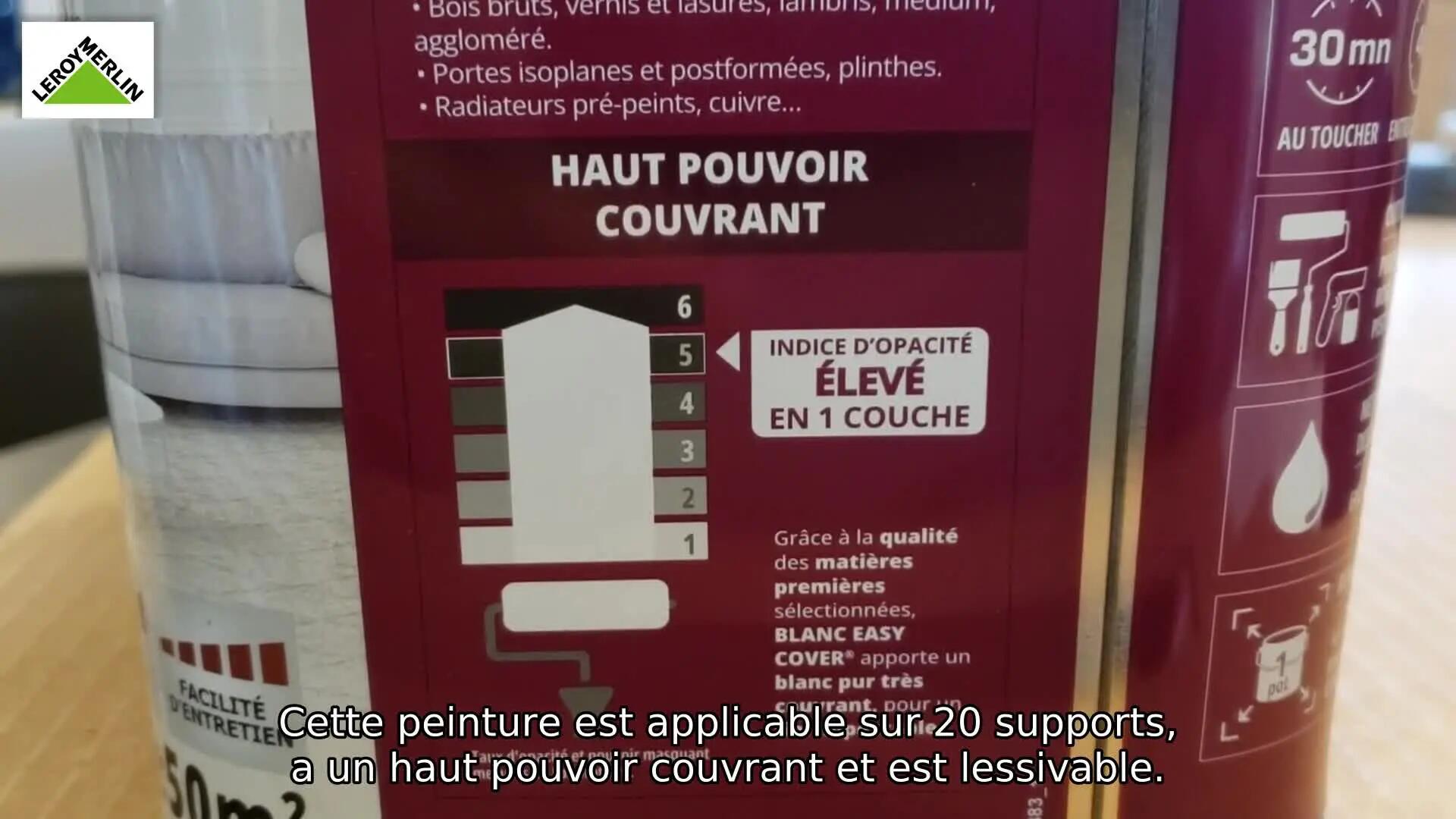 Peinture blanche V33 easy cover