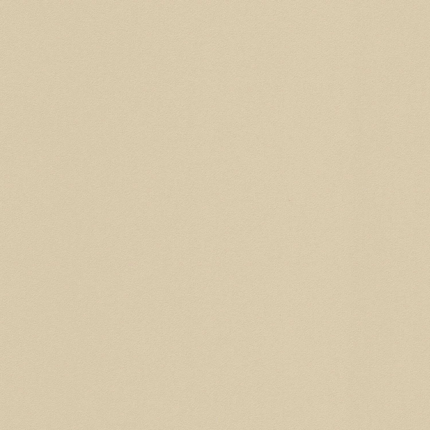 Papier peint intissé Lisse mat INSPIRE beige falaise - 3