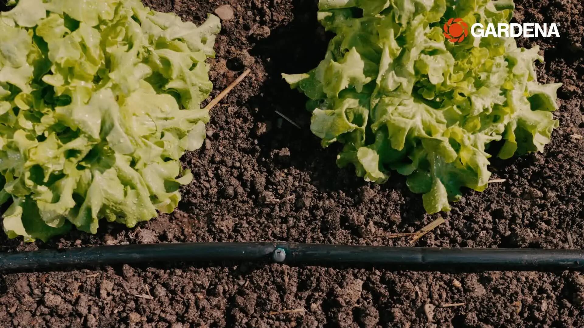 Micro-asperseur d'extrémité de plate-bande GARDENA 13318-20 - 10