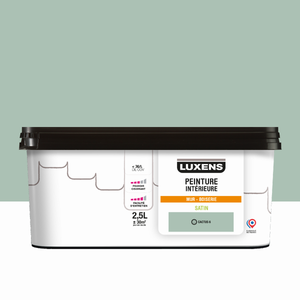 Peinture mur, boiserie cactus 6 satin LUXENS Intérieure 2.5L Leroy Merlin Les bons plans des petits projets avant l'été
