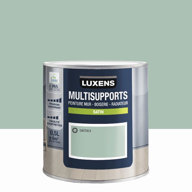 Peinture mur, boiserie, radiateur cactus 6 satin LUXENS , 0.5L