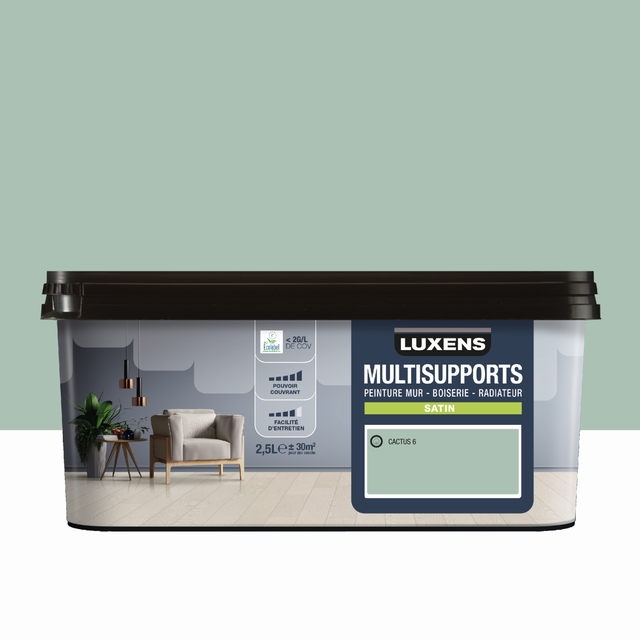 Peinture mur, boiserie, radiateur cactus 6 satin LUXENS , 2.5L