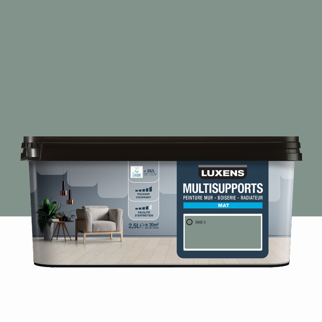 Peinture mur, boiserie, radiateur sage 3 mat LUXENS , 2.5L