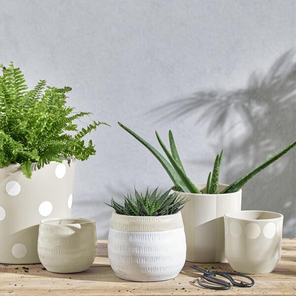 Emalia akrylowa jednowarstowa 0.5 l Cream 5 Matowa Luxens - 3