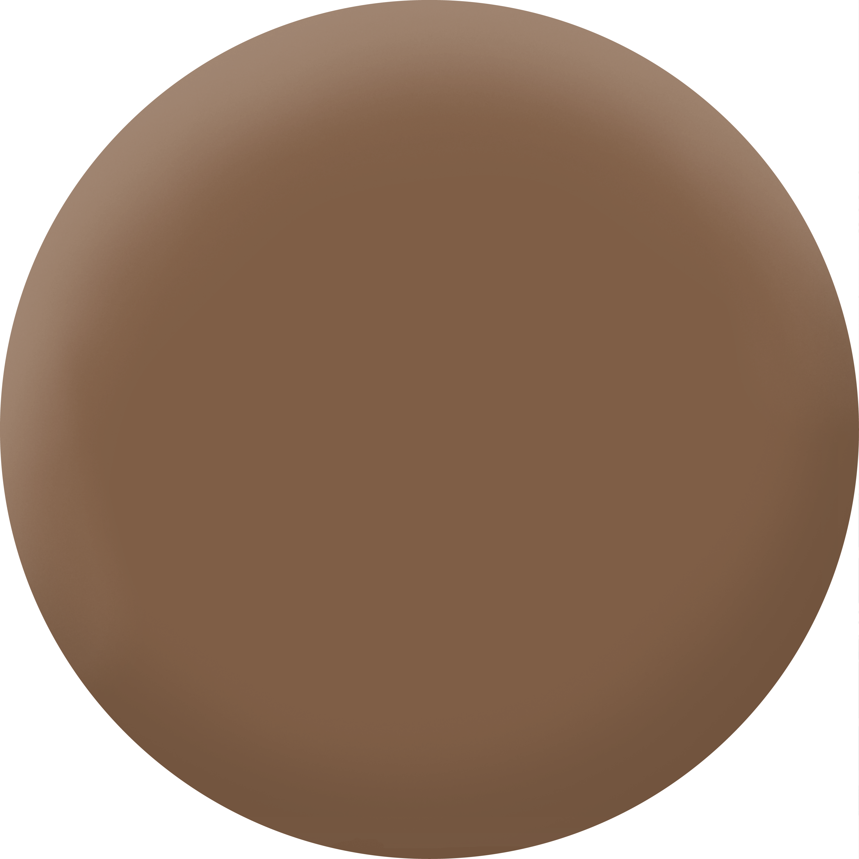 Peinture mur marron satin MAISON DECO Pochoir 0.01L - 2