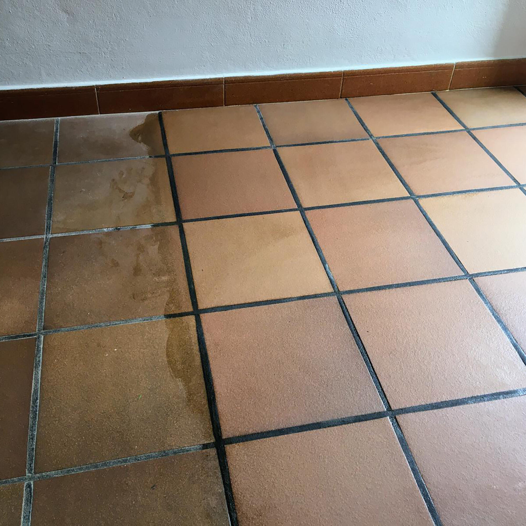 Sanigel remove manchas chão 1 L Monestir - 4