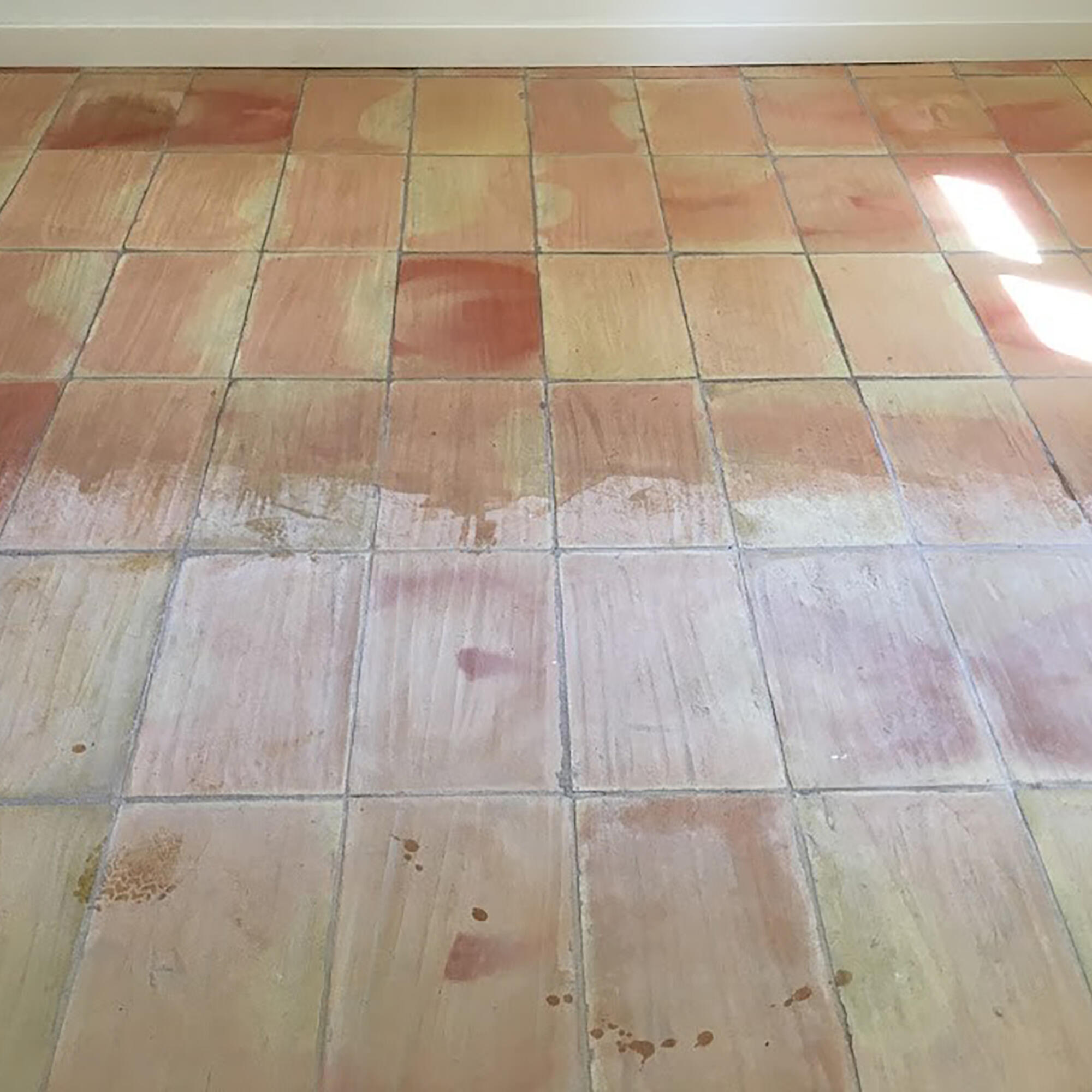 Sanet quitacementos antisalitre MONESTIR 5l - 2