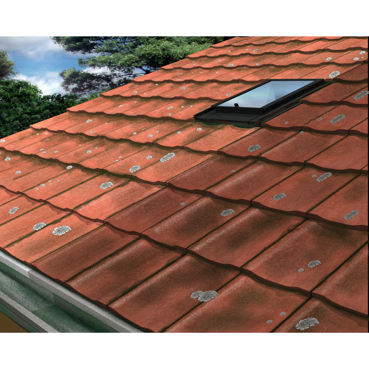 Traitement anti-dépots verts pour toiture, façade et sol  20 L SIKAGARD-127 - 5