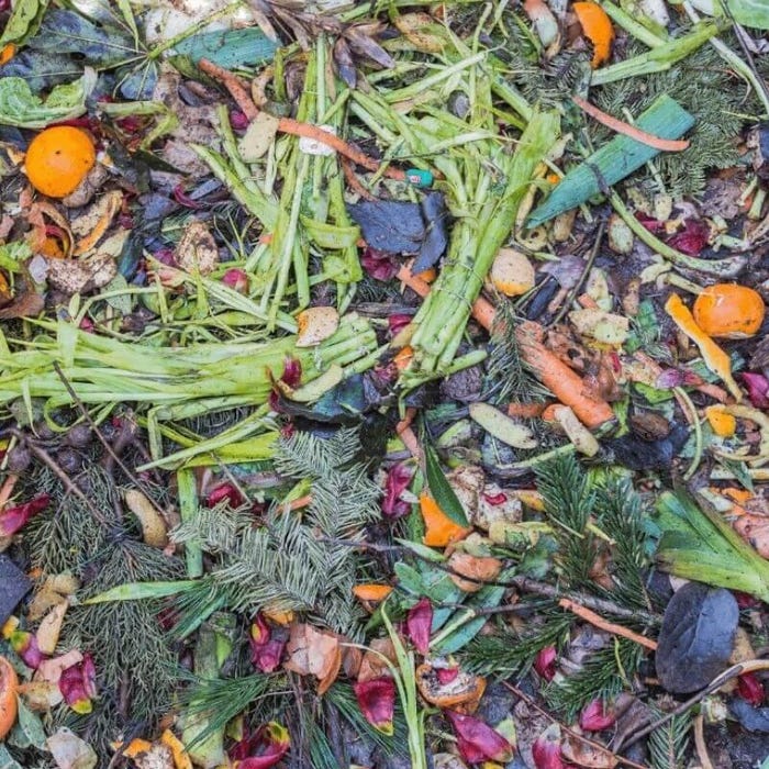 compostagem de resíduos