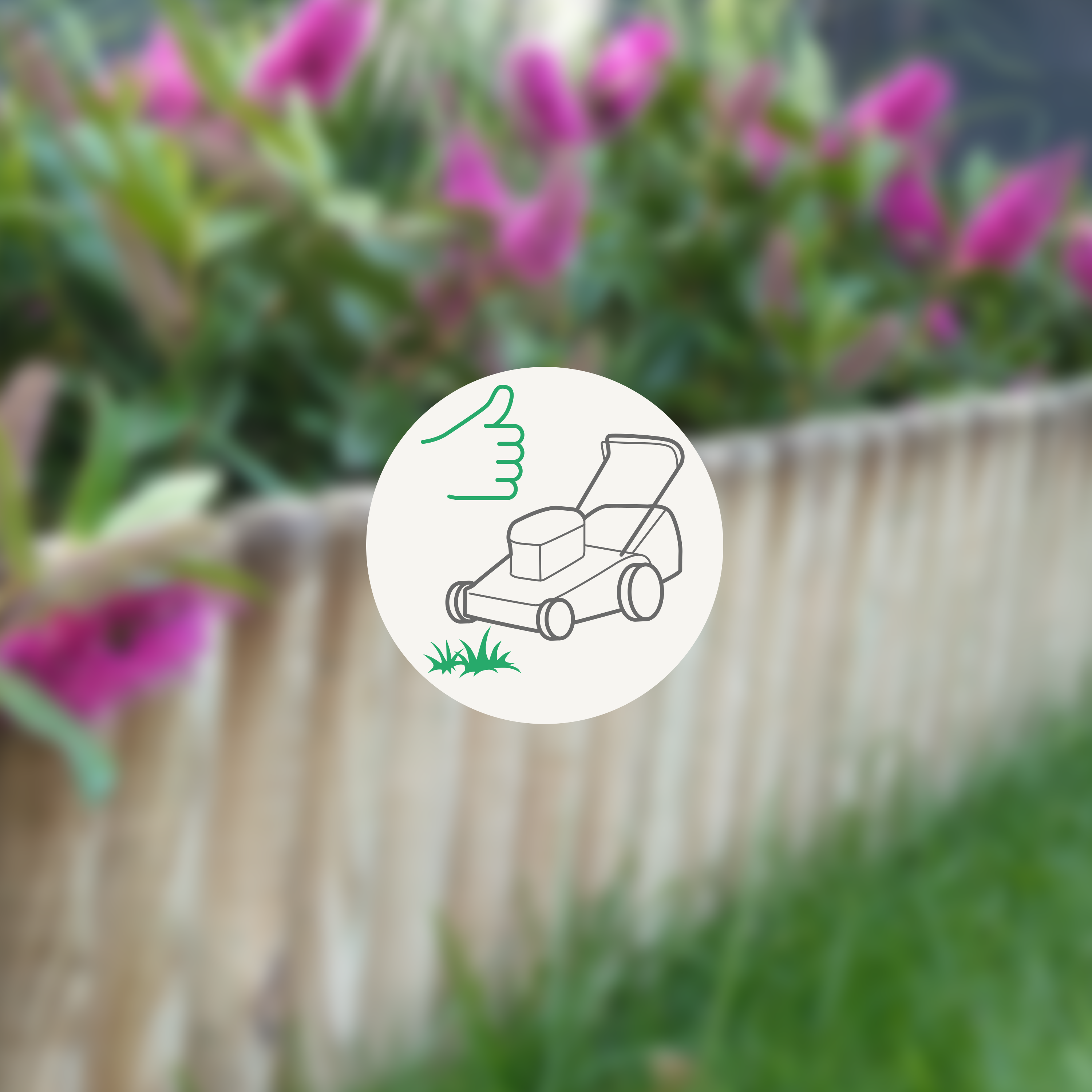 Bordure bois Forest Style - 2