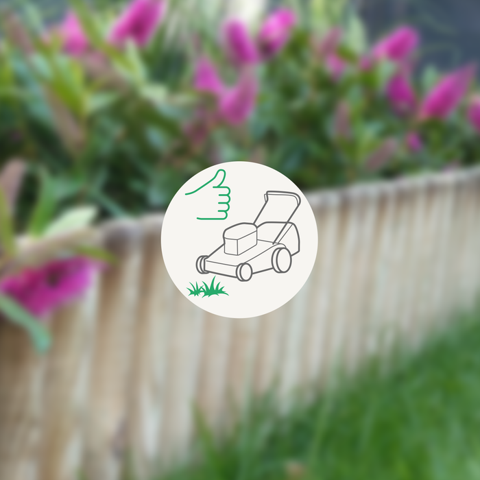 Bordure bois Forest Style