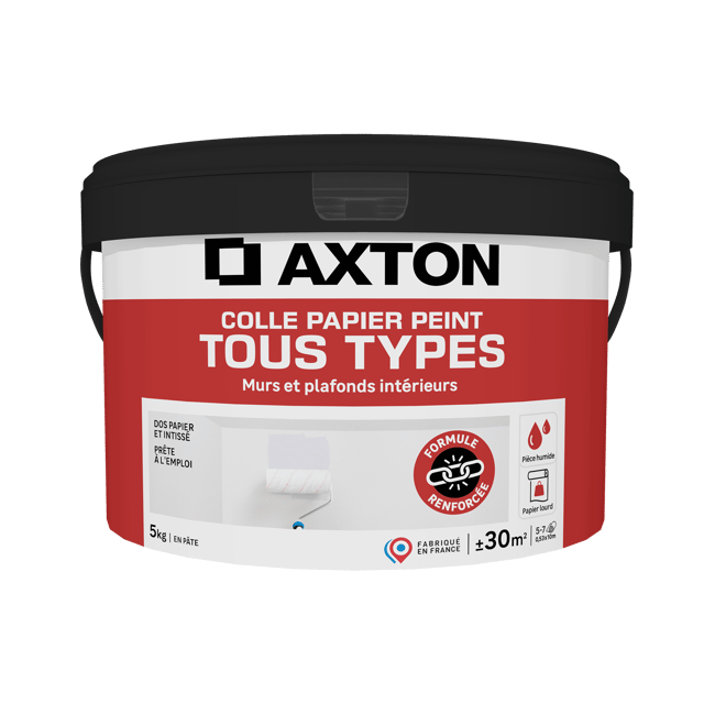 Colle en pâte pour tous types de papiers peints AXTON, 5kg