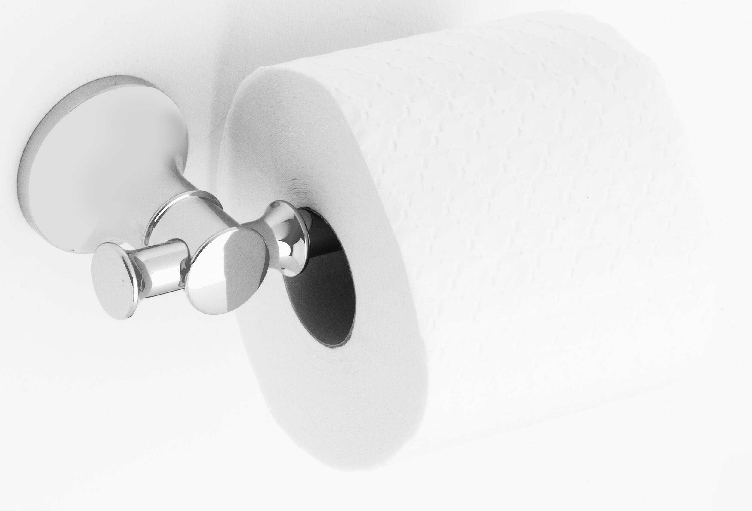 Portarrollos de papel higiénico Cardiff plata tornillos - 3