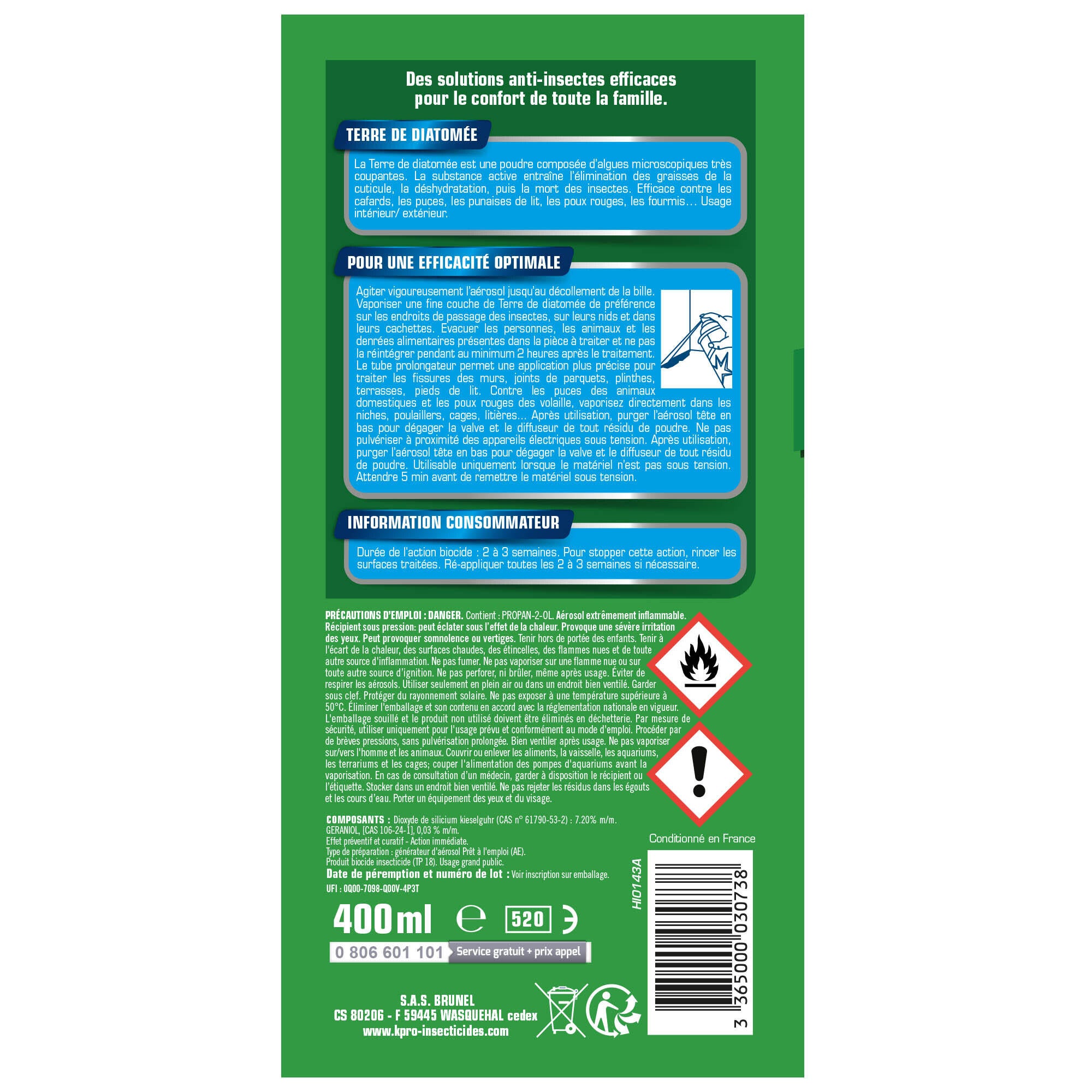 Insecticide aérosol insectes rampants, Terre de diatomée, vert K.PRO, 400ml - 3