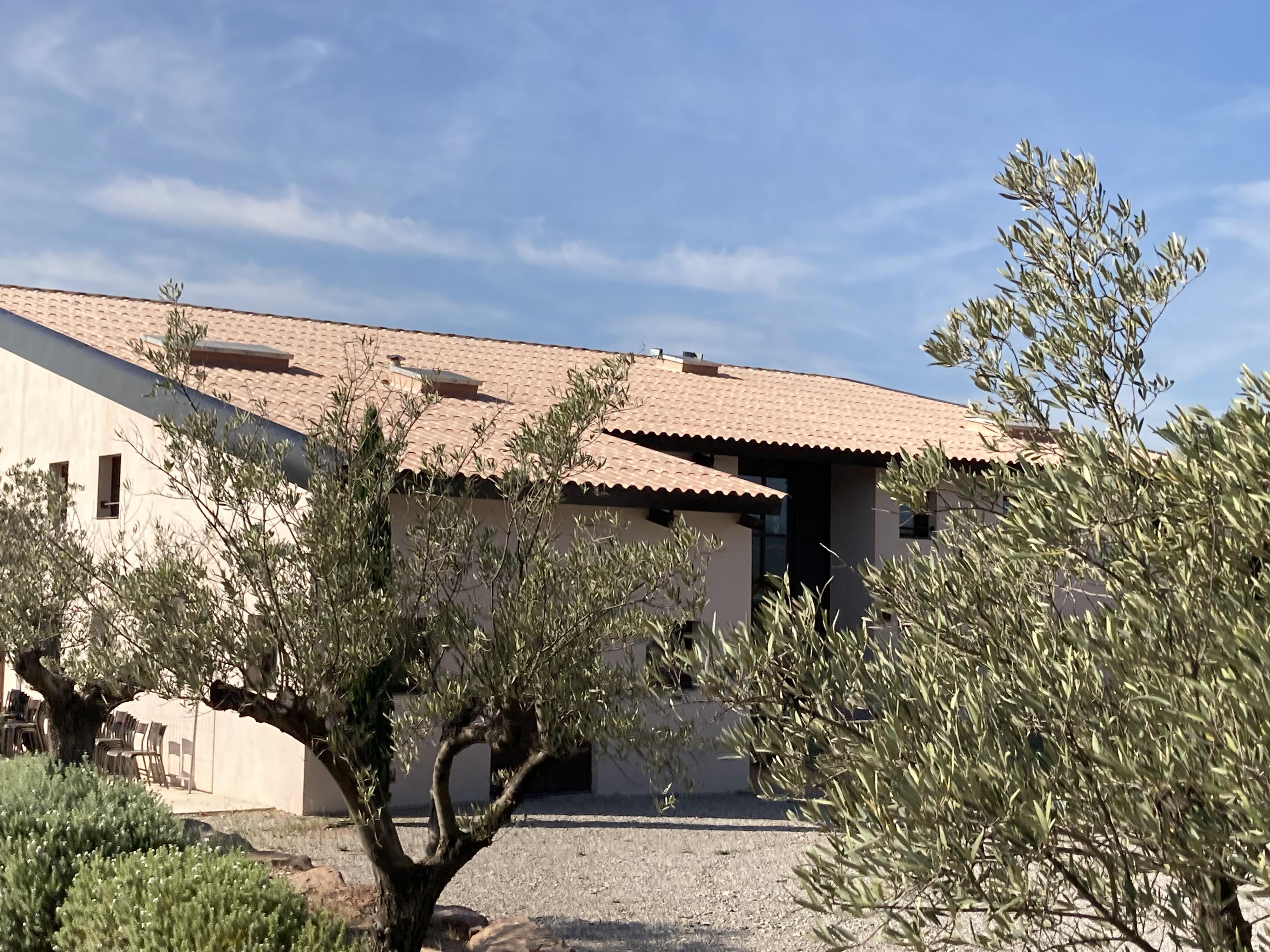 Plaque de couverture, ondulé multicouleur, l.96 x L.220 cm, Ep.6.5 mm - 2