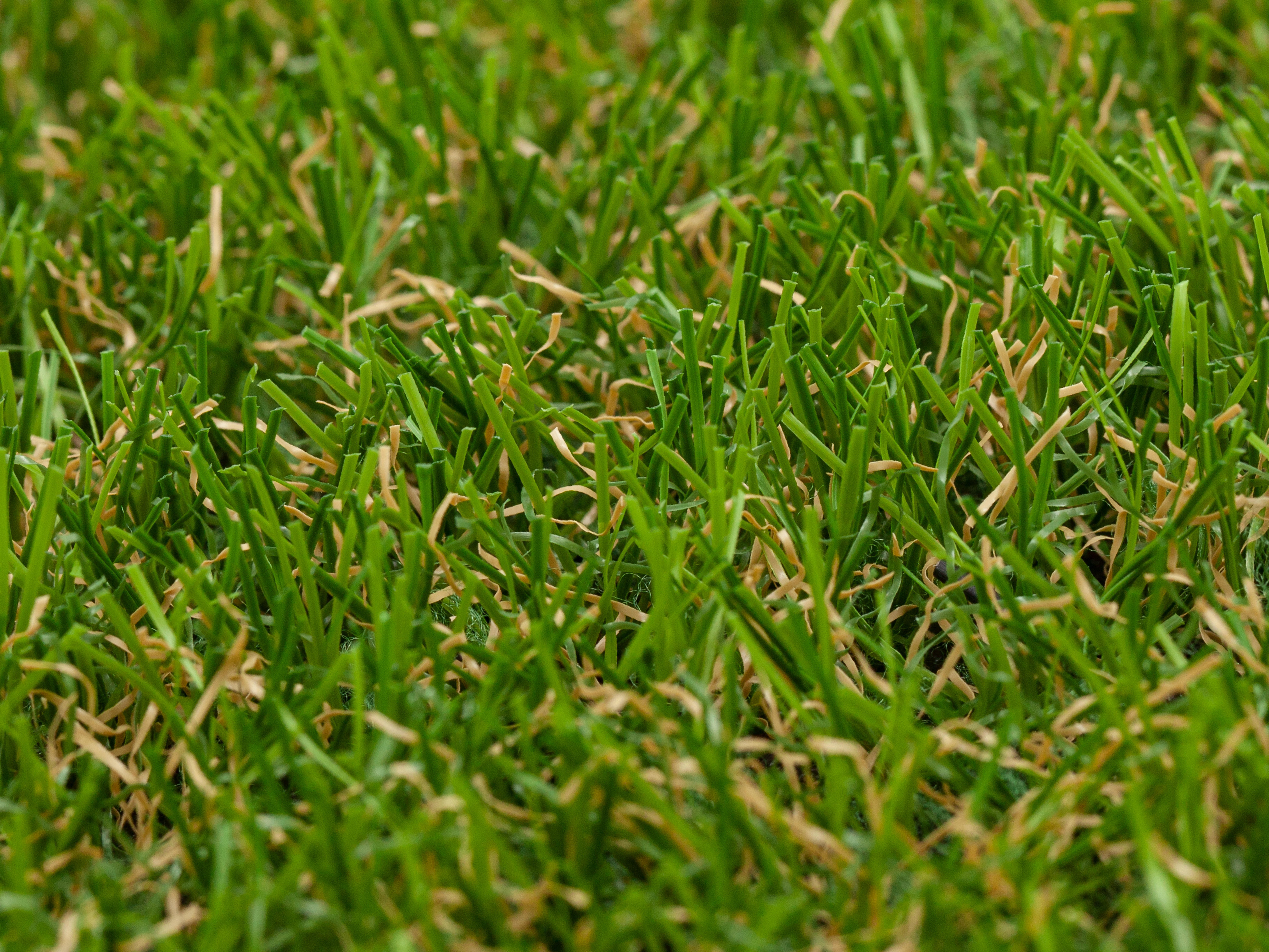 Césped artificial Zante.2  2x5 m 20 mm de altura de fibras y 13560 puntadas m² - 8