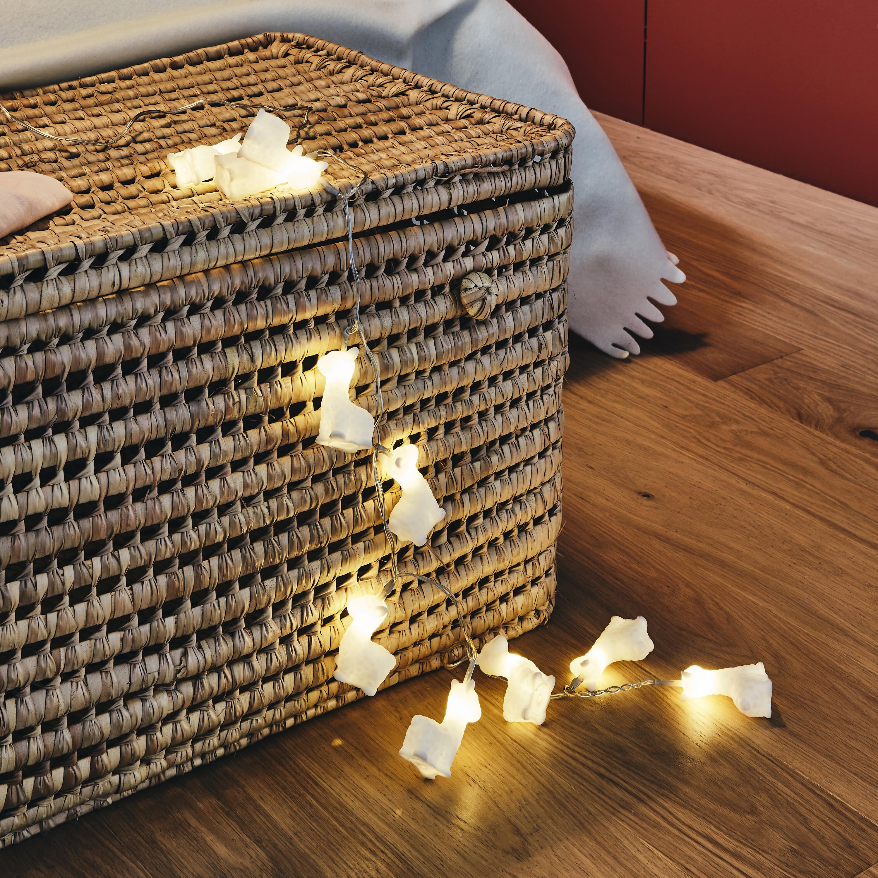 Guirlande Module LED 10 ampoules blanc Loei INSPIRE - 3