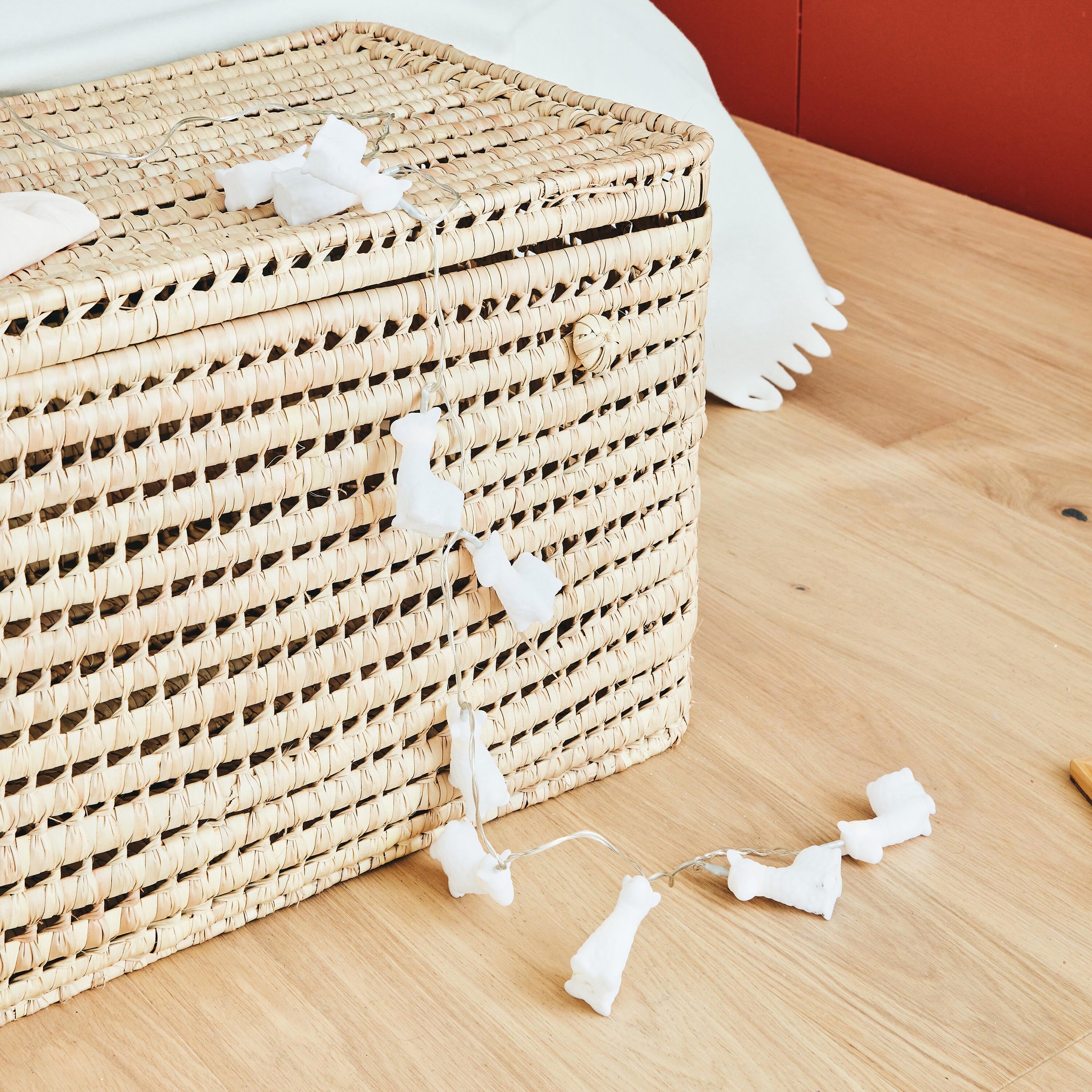 Guirlande Module LED 10 ampoules blanc Loei INSPIRE - 2