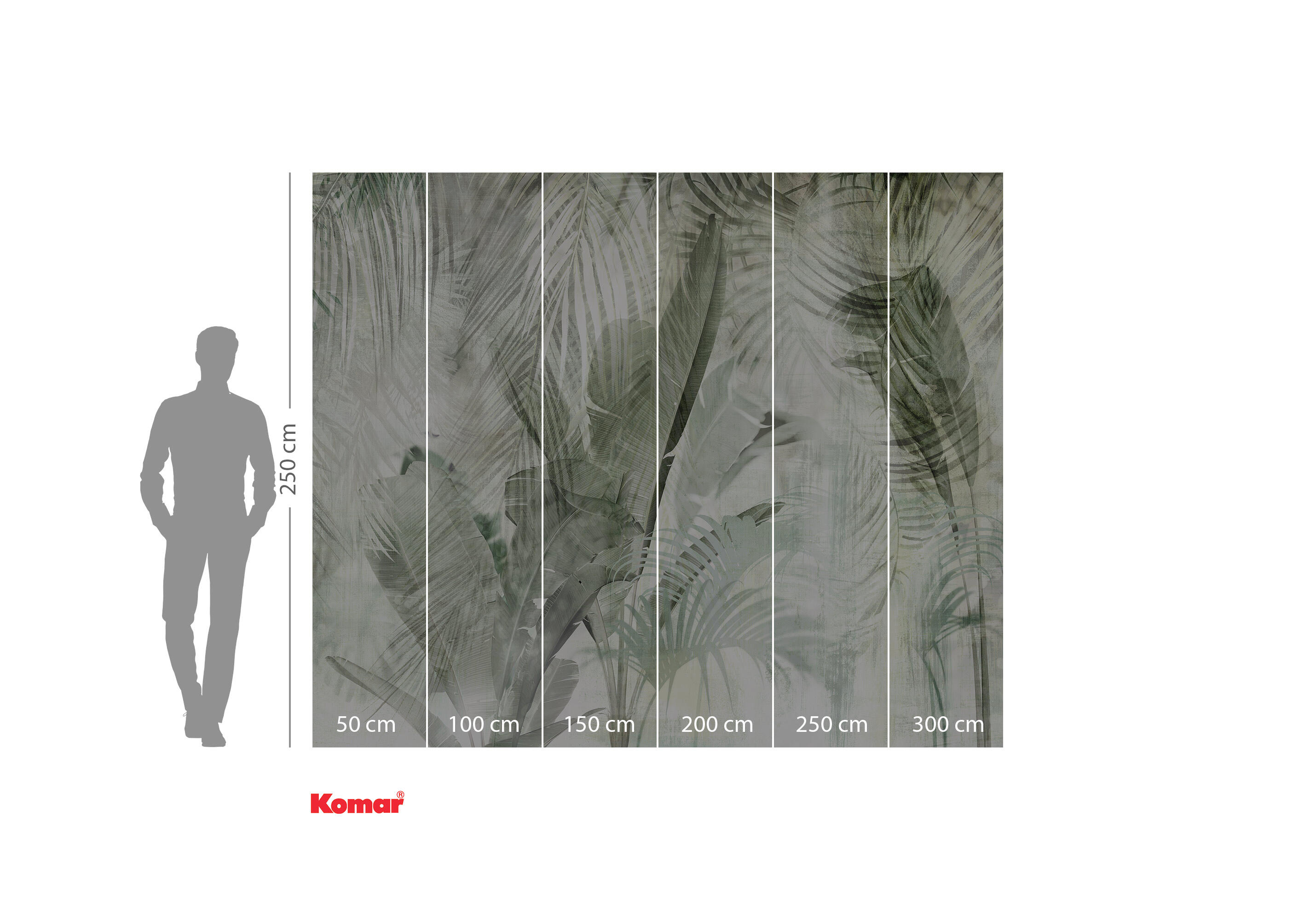 Papier peint panoramique Feuille Lumière ombre vert l.300 x H.250 cm - 3